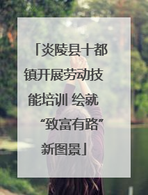 炎陵县十都镇开展劳动技能培训 绘就“致富有路”新图景