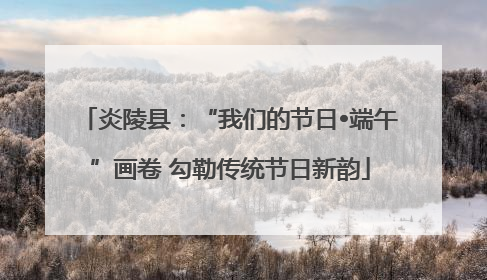 炎陵县：“我们的节日•端午”画卷 勾勒传统节日新韵