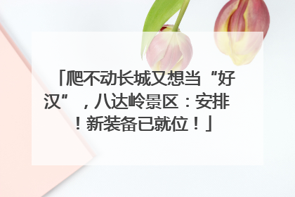 爬不动长城又想当“好汉”，八达岭景区：安排！新装备已就位！
