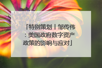 特别策划丨邹传伟：美国政府数字资产政策的影响与应对