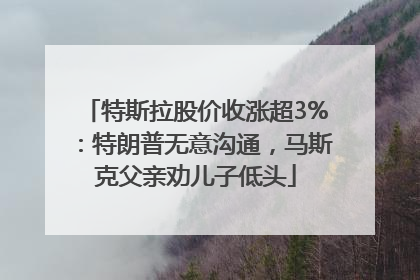 特斯拉股价收涨超3%：特朗普无意沟通，马斯克父亲劝儿子低头