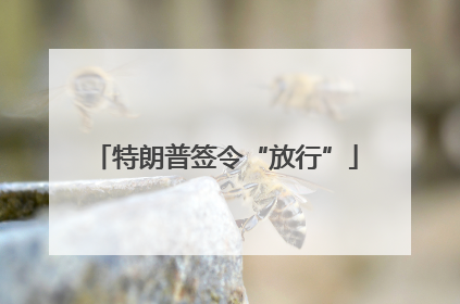 特朗普签令“放行”