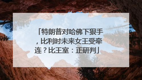 特朗普对哈佛下狠手，比利时未来女王受牵连？比王室：正研判