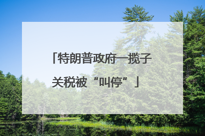特朗普政府一揽子关税被“叫停”