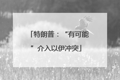 特朗普：“有可能”介入以伊冲突