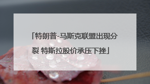 特朗普-马斯克联盟出现分裂 特斯拉股价承压下挫
