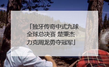 独牙传奇中式九球全球总决赛 楚秉杰力克周龙勇夺冠军