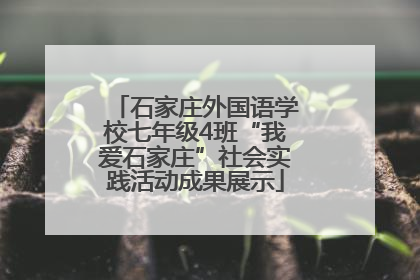 石家庄外国语学校七年级4班“我爱石家庄”社会实践活动成果展示