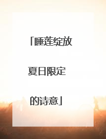 睡莲绽放 夏日限定的诗意