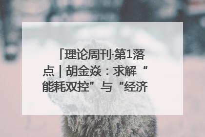 理论周刊·第1落点｜胡金焱：求解“能耗双控”与“经济增长”矛盾