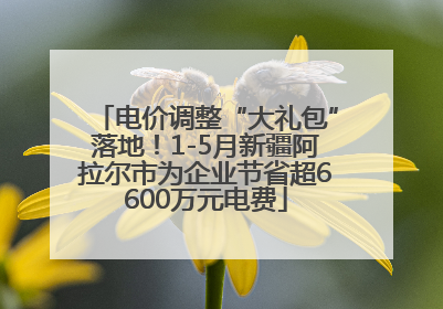电价调整“大礼包”落地！1-5月新疆阿拉尔市为企业节省超6600万元电费