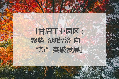 甘眉工业园区：聚势飞地经济 向“新”突破发展
