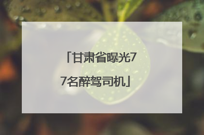 甘肃省曝光77名醉驾司机