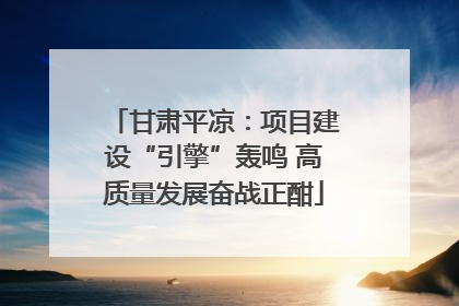 甘肃平凉：项目建设“引擎”轰鸣 高质量发展奋战正酣