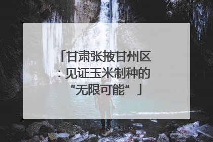 甘肃张掖甘州区：见证玉米制种的“无限可能”