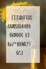 甘肃打造战略原材料保障区 目标产值破万亿