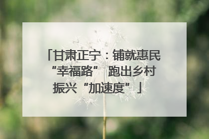 甘肃正宁：铺就惠民“幸福路” 跑出乡村振兴“加速度”