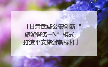 甘肃武威公安创新“旅游警务+N”模式 打造平安旅游新标杆