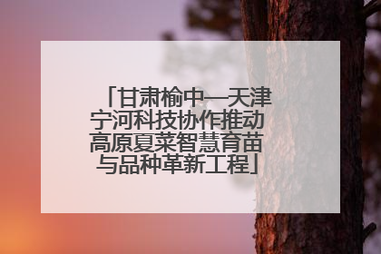 甘肃榆中—天津宁河科技协作推动高原夏菜智慧育苗与品种革新工程