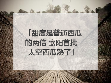 甜度是普通西瓜的两倍 襄阳首批太空西瓜熟了