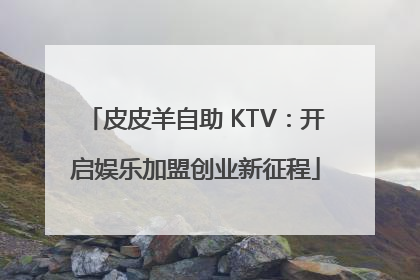 皮皮羊自助 KTV：开启娱乐加盟创业新征程