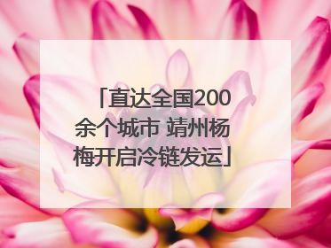 直达全国200余个城市 靖州杨梅开启冷链发运