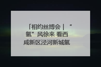 相约丝博会｜“氢”风徐来 看西咸新区泾河新城氢能产业聚链成势
