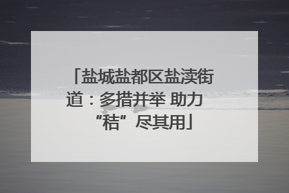 盐城盐都区盐渎街道：多措并举 助力“秸”尽其用