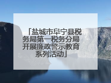 盐城市阜宁县税务局第一税务分局开展廉政警示教育系列活动