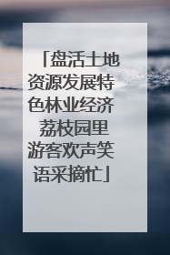 盘活土地资源发展特色林业经济 荔枝园里游客欢声笑语采摘忙