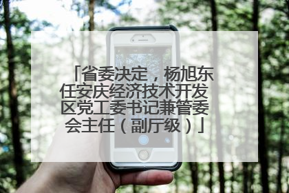 省委决定，杨旭东任安庆经济技术开发区党工委书记兼管委会主任（副厅级）