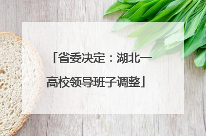 省委决定：湖北一高校领导班子调整