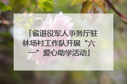 省退役军人事务厅驻林场村工作队开展“六一”爱心助学活动