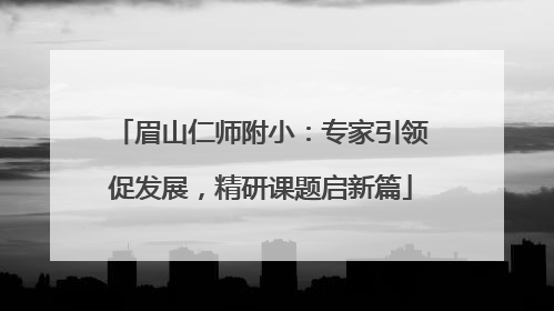 眉山仁师附小：专家引领促发展，精研课题启新篇