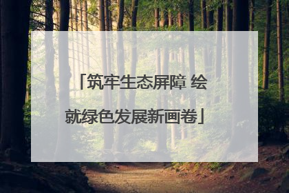 筑牢生态屏障 绘就绿色发展新画卷