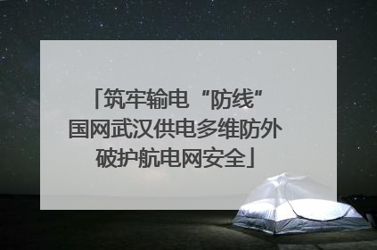 筑牢输电“防线” 国网武汉供电多维防外破护航电网安全