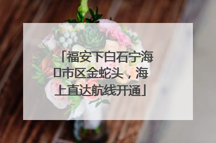 福安下白石宁海⇆市区金蛇头，海上直达航线开通