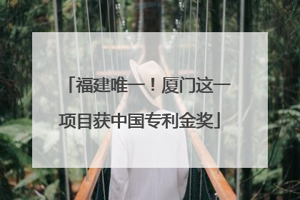 福建唯一！厦门这一项目获中国专利金奖
