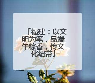 福建：以文明为笔，品端午粽香，传文化纽带
