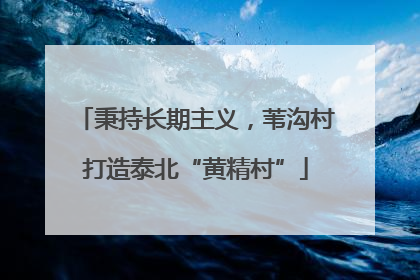 秉持长期主义，苇沟村打造泰北“黄精村”