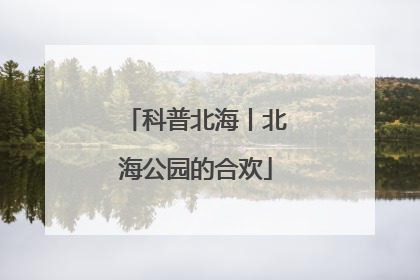 科普北海丨北海公园的合欢