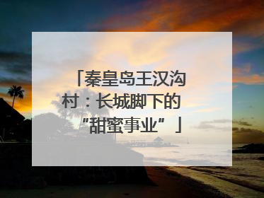 秦皇岛王汉沟村：长城脚下的“甜蜜事业”
