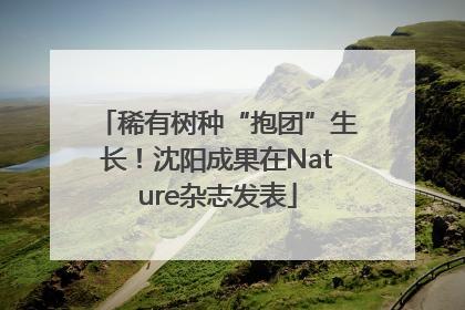 稀有树种“抱团”生长！沈阳成果在Nature杂志发表