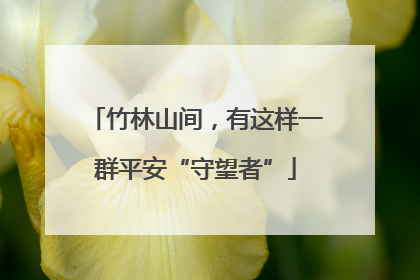 竹林山间，有这样一群平安“守望者”