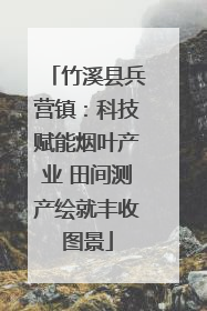 竹溪县兵营镇：科技赋能烟叶产业 田间测产绘就丰收图景