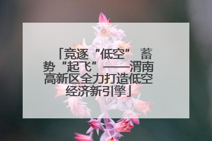竞逐“低空” 蓄势“起飞”——渭南高新区全力打造低空经济新引擎