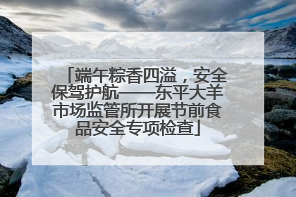 端午粽香四溢，安全保驾护航——东平大羊市场监管所开展节前食品安全专项检查