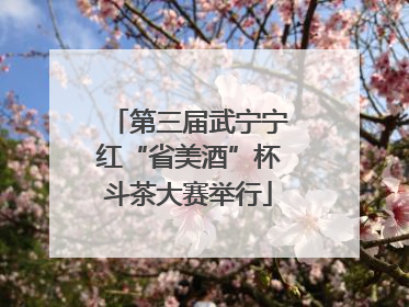 第三届武宁宁红“省美酒”杯斗茶大赛举行