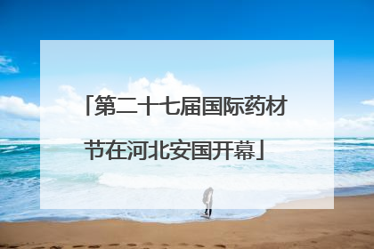 第二十七届国际药材节在河北安国开幕