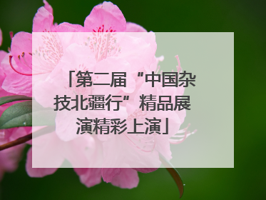 第二届“中国杂技北疆行”精品展演精彩上演